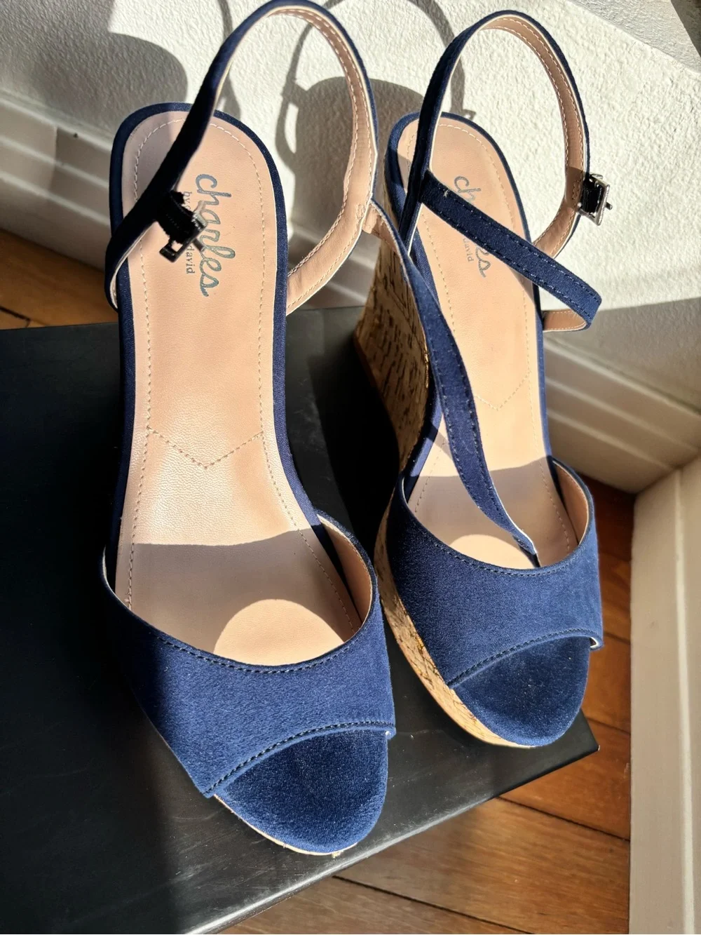 Charles By Charles David Navy Cork Wedge Ankle Strap Sandals